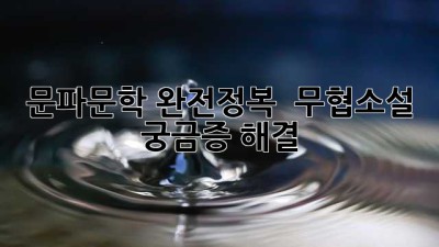 문파문학 완전정복! 📚 무협소설 궁금증 해결